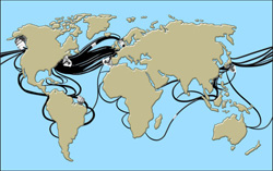 The Backbone of Our Connected World